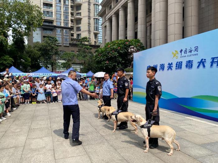 “6•26”国际禁毒日：广州海关无害化集中销毁毒品545公斤，缉毒犬开放日向全社会科普