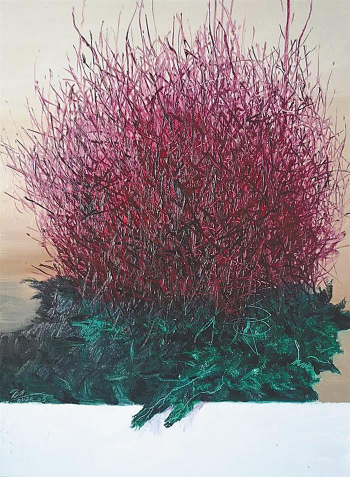 马杰“笔触织物”个人画展在海口展出：抽象游走的生命瞬间