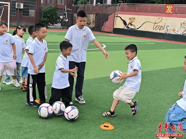 文正学校开展幼小衔接系列活动