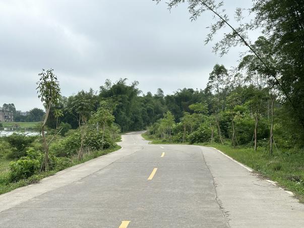 处处是风景！肇庆这些路串起好山好水好生活🥰🥰