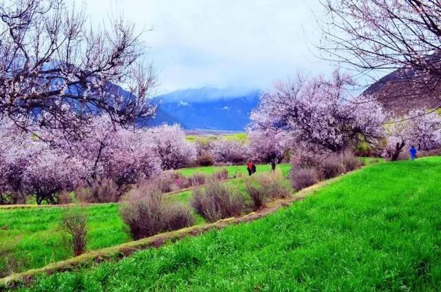 豫园掀起西藏文旅热潮！林芝市巴宜区非遗文化体验活动受热捧