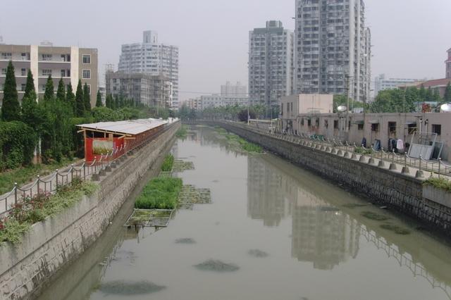 徐汇：一起领略水清岸绿的北潮港