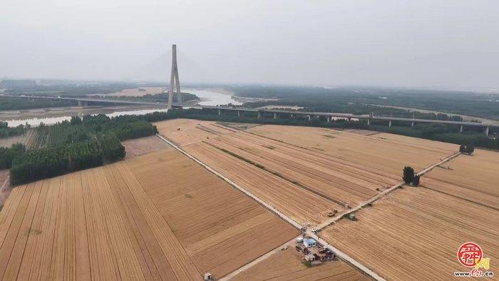 统筹耕地保护和要素保障 济南多措并举守住守牢耕地红线