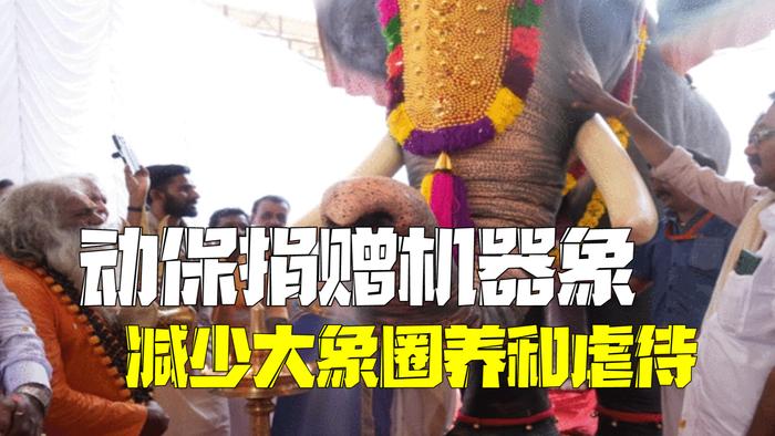印度动保组织向庙宇捐赠机器象 以减少大象圈养和虐待