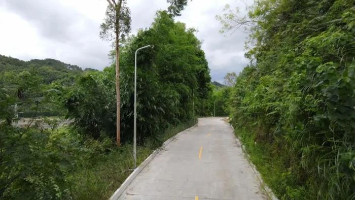 处处是风景！肇庆这些路串起好山好水好生活🥰🥰