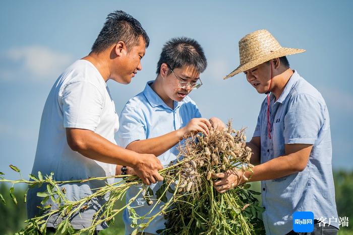 自贸港的年轻人丨邢博士与他的研究生团队：深耕乡土的新农人