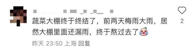 好消息！“蔬菜大棚”落幕后，上海又一座地铁站将启动改造，实现不出站换乘