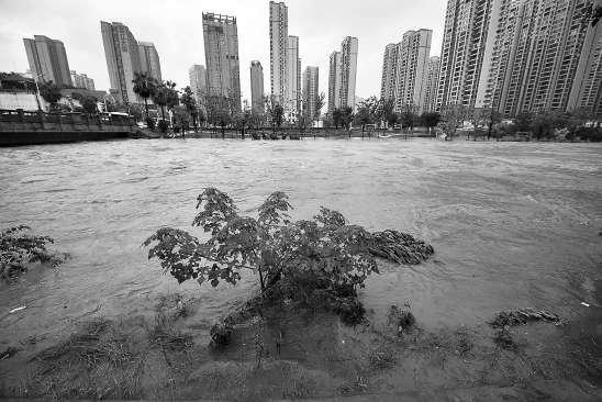 中央气象台再发暴雨红色预警