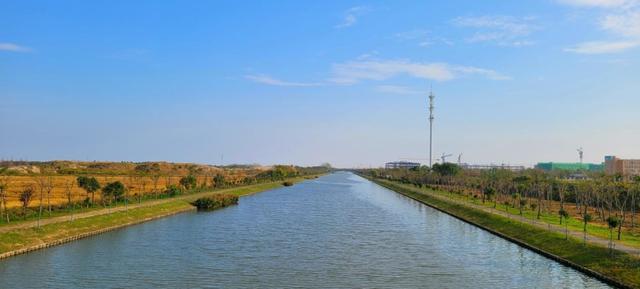 夏日“沪”水游丨崇明：六月河湖盛景，水波粼粼映辰光