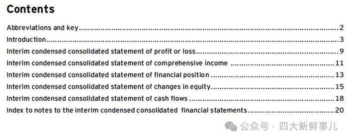 普华永道、毕马威、安永发布IFRS 2024年中期财务报表示例！