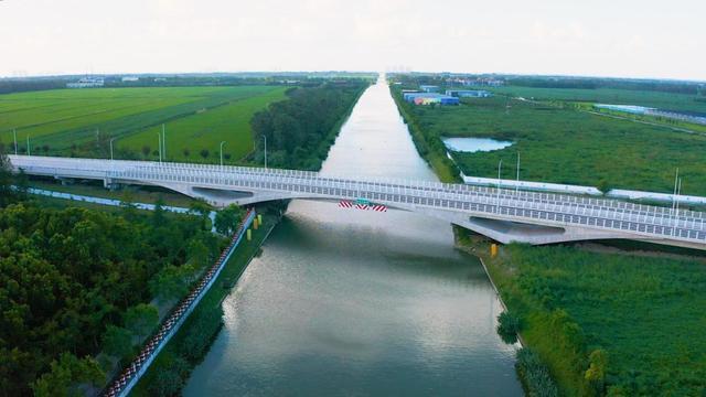 夏日“沪”水游丨崇明：六月河湖盛景，水波粼粼映辰光