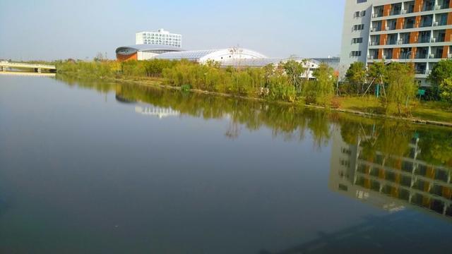 夏日“沪”水游丨崇明：六月河湖盛景，水波粼粼映辰光