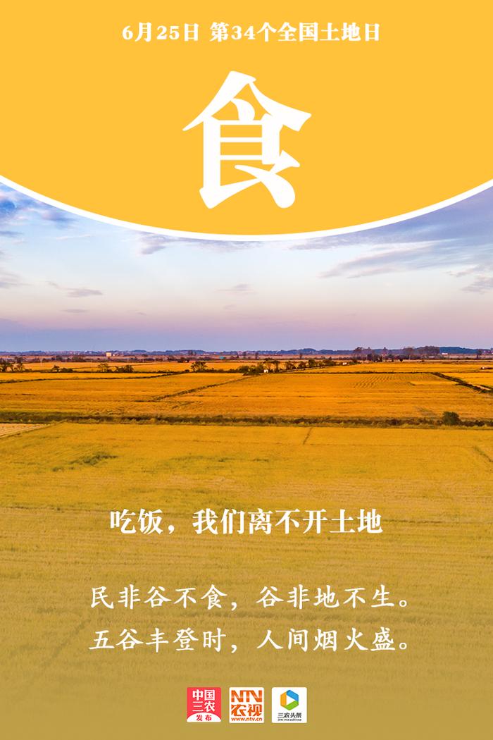 1.守护绿意，共筑土地梦