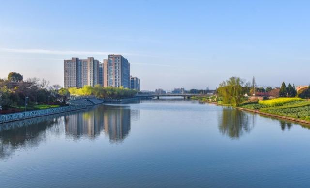 夏日“沪”水游丨崇明：六月河湖盛景，水波粼粼映辰光