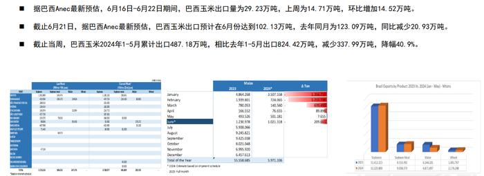 玉米期货或维持震荡走势 陈化稻谷拍卖传言下周进行