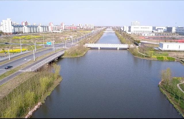 夏日“沪”水游丨崇明：六月河湖盛景，水波粼粼映辰光