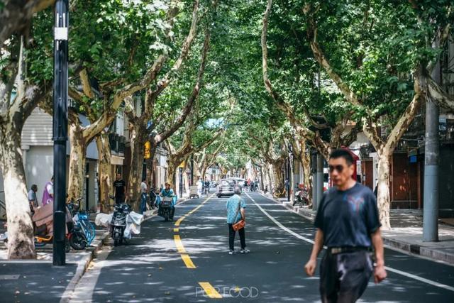 跟着刘亦菲兜马路！打卡《玫瑰的故事》黄浦取景地→