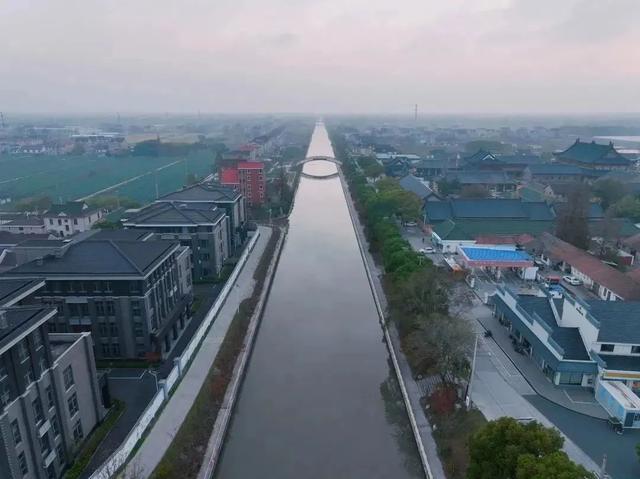 夏日“沪”水游丨崇明：六月河湖盛景，水波粼粼映辰光