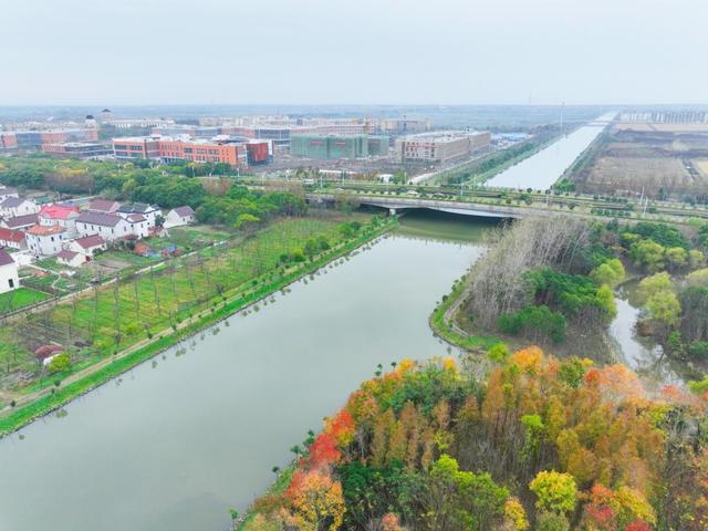 夏日“沪”水游丨崇明：六月河湖盛景，水波粼粼映辰光