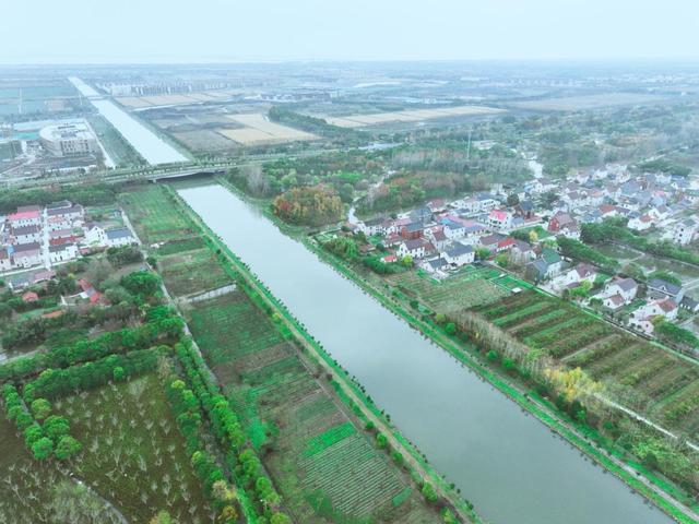 夏日“沪”水游丨崇明：六月河湖盛景，水波粼粼映辰光