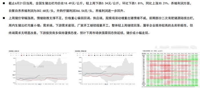 玉米期货或维持震荡走势 陈化稻谷拍卖传言下周进行