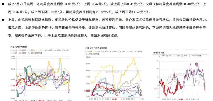 玉米期货或维持震荡走势 陈化稻谷拍卖传言下周进行