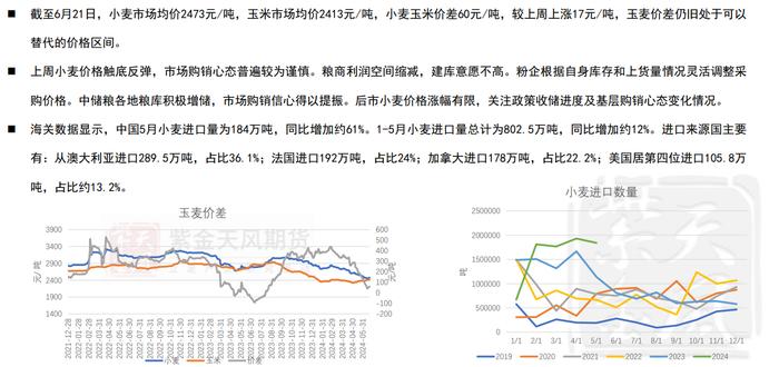 玉米期货或维持震荡走势 陈化稻谷拍卖传言下周进行