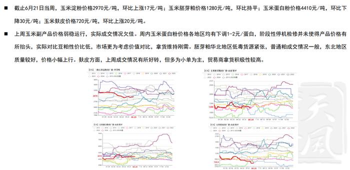 玉米期货或维持震荡走势 陈化稻谷拍卖传言下周进行