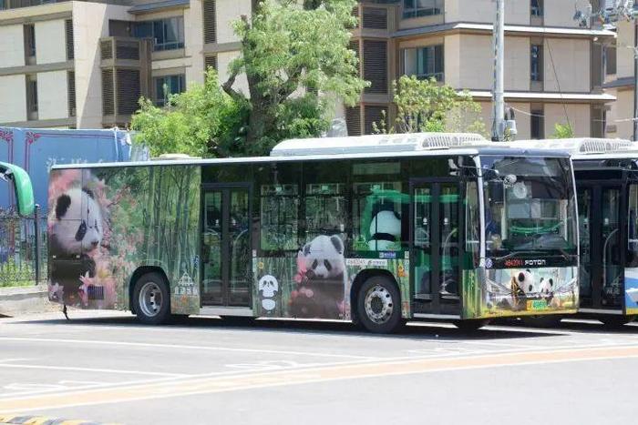 🤗萌翻！“熊猫公交”上路，你打卡了吗？