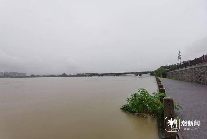 富春江水位持续上涨 已发洪水黄色预警 新沙岛部分区域已受影响