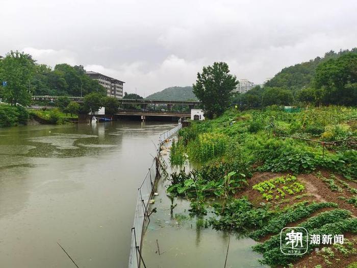 富春江水位持续上涨 已发洪水黄色预警 新沙岛部分区域已受影响