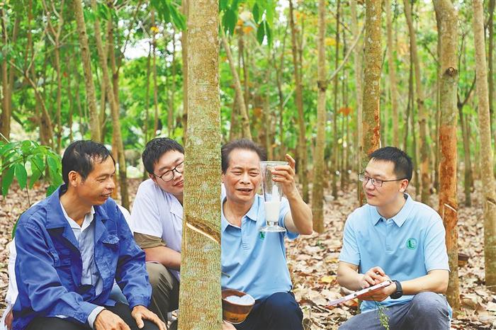 荣获国家科技奖 海南这些项目有何亮点？