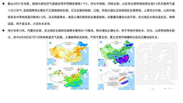 玉米期货或维持震荡走势 陈化稻谷拍卖传言下周进行