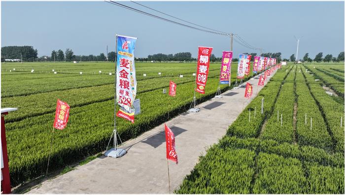 濉溪县百善镇“代表企业”“ 万企兴万村” 行动，激活乡村发展“新动能”