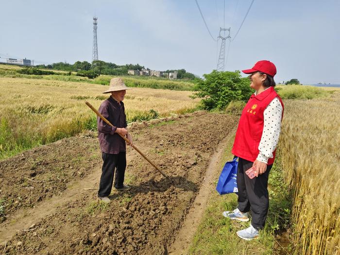 安庆经开区老峰镇：用好教育资源  扎实推进廉洁文化建设