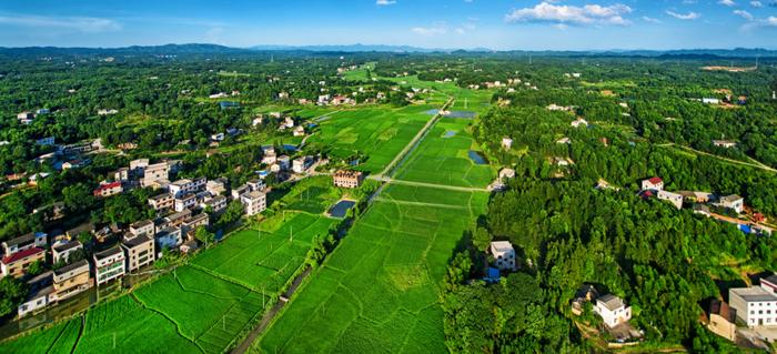 如何守牢耕地红线？看湖南株洲市、区、镇、村四级田长话耕保