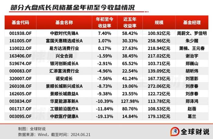 12只大盘成长风格基金盘点，百亿基金经理看好哪些板块？