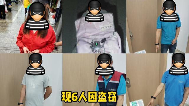 现实版“开心农场”6人盗窃500余斤土豆！