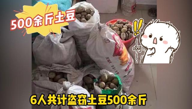 现实版“开心农场”6人盗窃500余斤土豆！