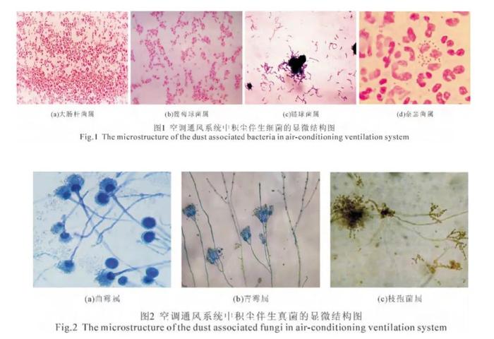 家里空调从来不洗？真的容易吹出病