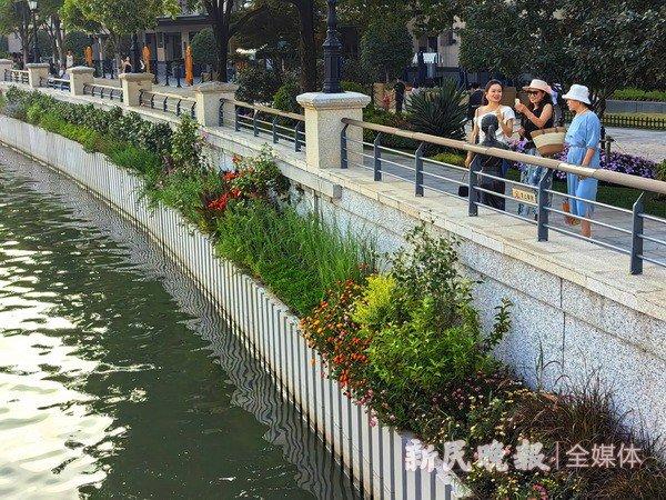 苏河防汛墙改造   生态环境提升