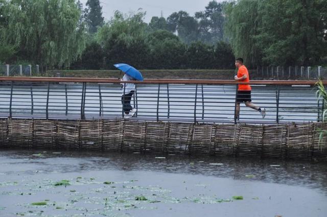 下雨天，正好来青浦新城逛不一样的环城水系公园