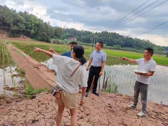 促进水生态保护与经济建设协同发展，简阳三星建优十万亩粮油产业园