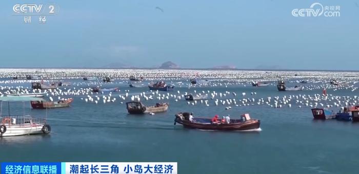 贻贝之乡→蓝色牧场，浙江舟山枸杞岛年产值超10亿元产业，真“鲜”