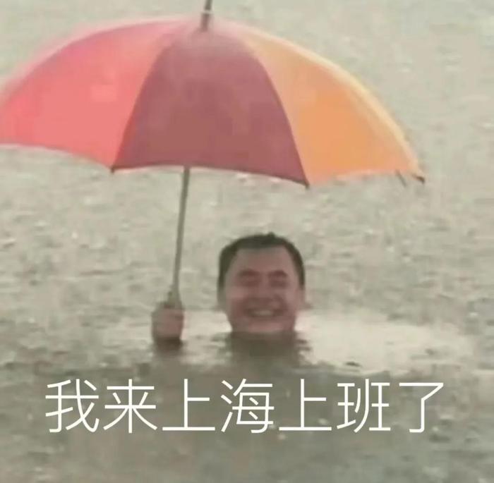 紧急通知：上海出发多趟列车停运！今天的雨有多猛？一地铁出口直接被“淹”...刚刚，雷电黄色预警又来了