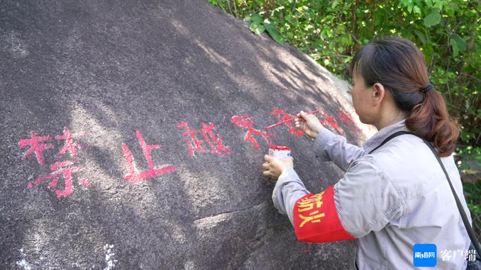 感动海南丨在热带雨林里当一辈子的“女飞侠”