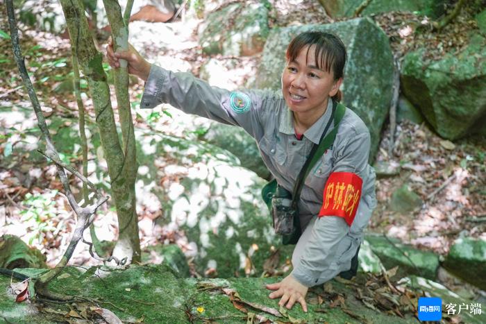 感动海南丨在热带雨林里当一辈子的“女飞侠”