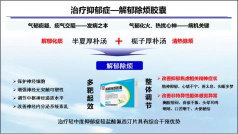 从传统文化汲取精华 以岭药业为治疗精神类疾病提供新思路