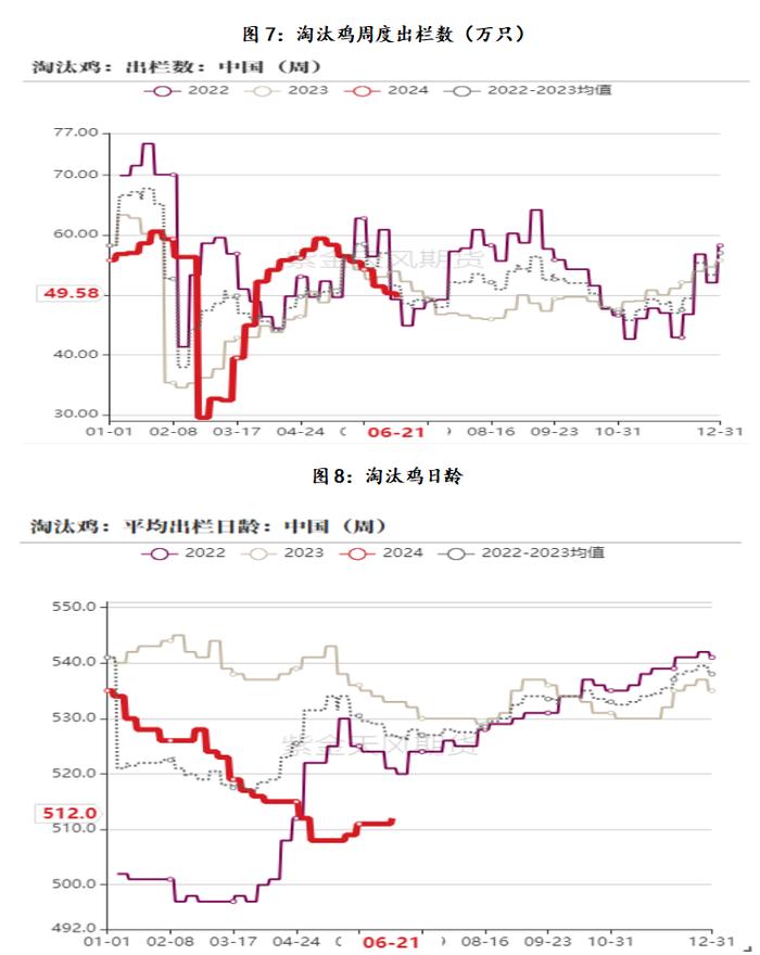 云评论 | 鸡蛋：鸡蛋为何近日持续反弹？