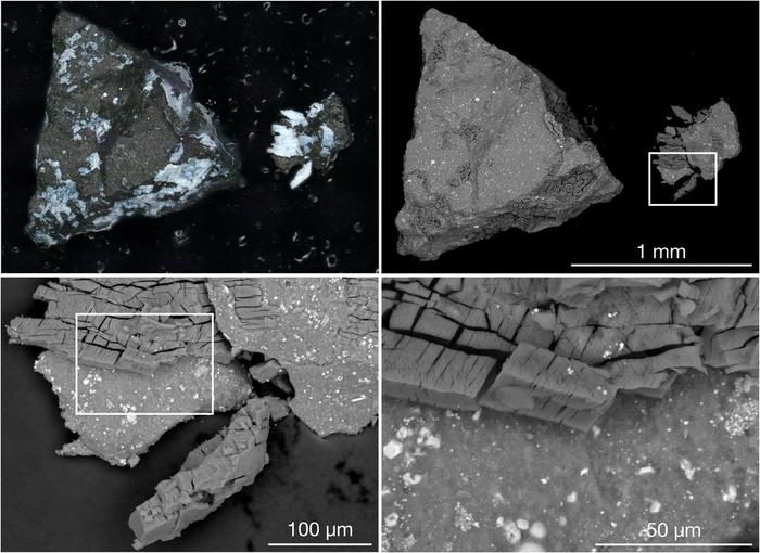 “贝努”小行星样本新发现：含生命所需关键成分、可能源于古老海洋世界